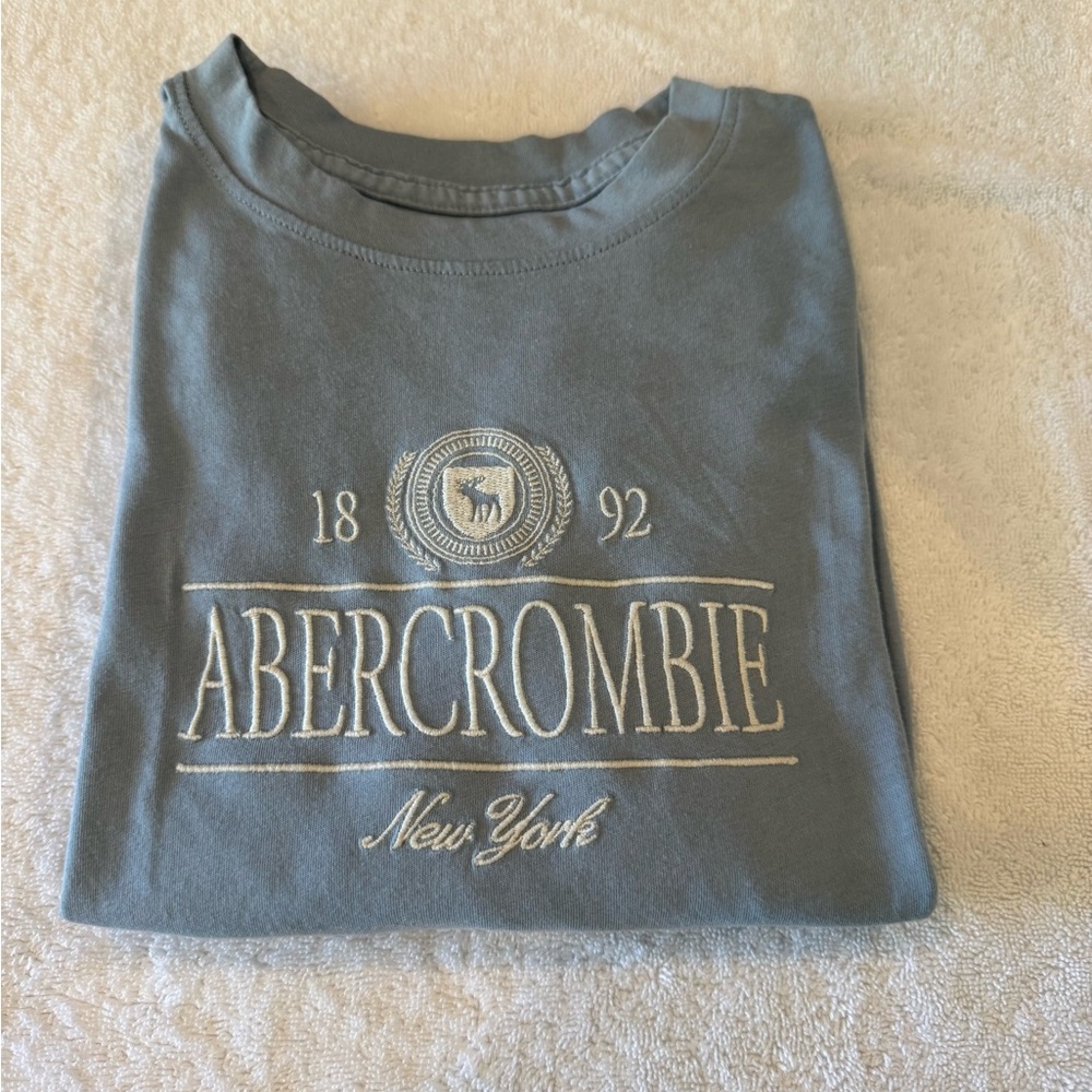 Abercrombie Kids Light Blue  Long Sleeve  Tee Size 9/10